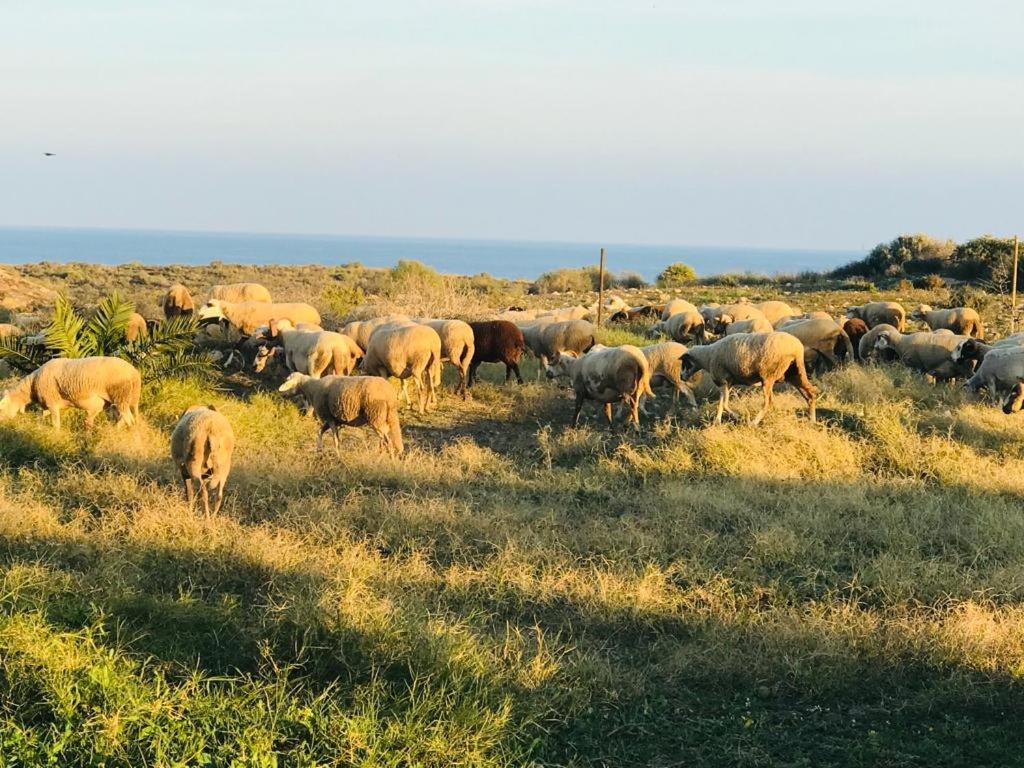Alojamiento Mar Y Montana Vendégház Almería Kültér fotó
